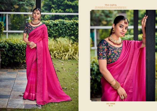 5D Designer Saloni Festive Wear Wholesale Saree Collection